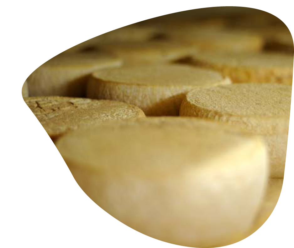 foire-au-fromage9